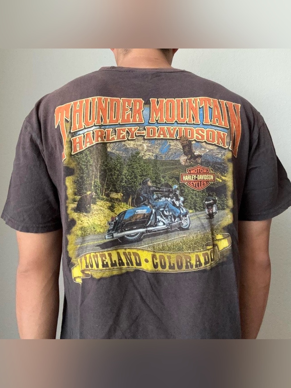 Vintage Harley Davidson Loveland Colorado Graphics Black Tee Shirt